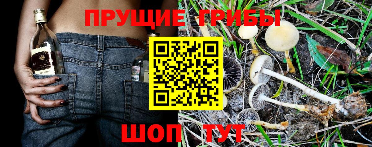 магазин  наркотиков  Вход с VPN  Ахтубинск  Галлюциногенные грибы Psilocybe  Псилоцибиновые грибы мухоморы 